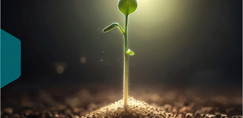 Localization, DTP, and AI: A Content Revolution